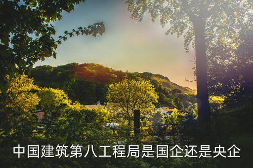 中國建筑第八工程局是國企還是央企