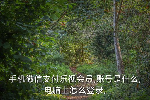 樂次元,怎么用微信支付樂次元影視會員?