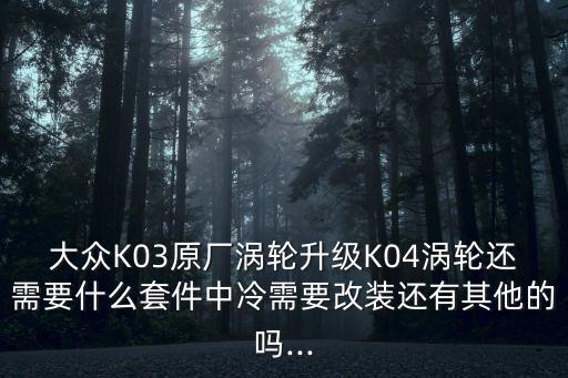 大眾K03原廠渦輪升級K04渦輪還需要什么套件中冷需要改裝還有其他的嗎...