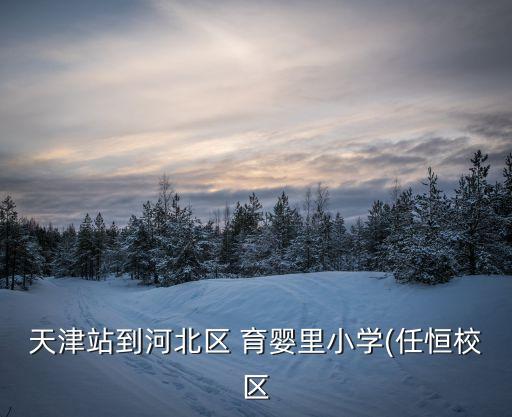 育嬰里小學,天津市河北區重點小學有哪幾所?