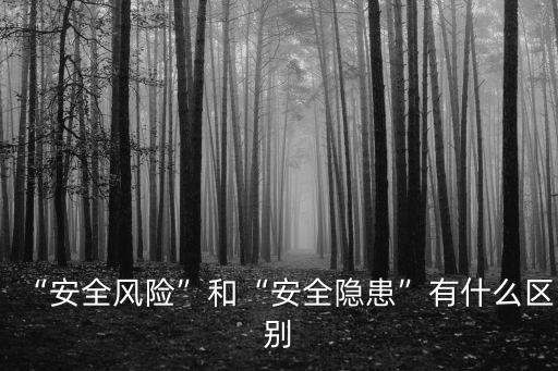 “安全風險”和“安全隱患”有什么區別