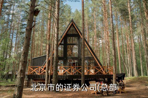 北京市的證券公司(總部