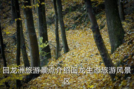 回龍洲旅游景點(diǎn)介紹回龍生態(tài)旅游風(fēng)景區(qū)