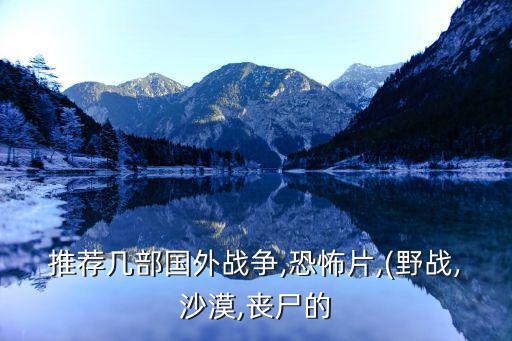 推薦幾部國外戰爭,恐怖片,(野戰,沙漠,喪尸的