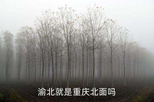 渝北區地圖,重慶市湖北區渝北區分界在哪里?