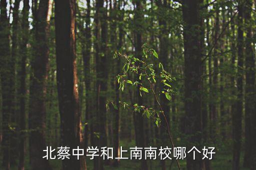 北蔡中學,上海浦東公立中學南北中學比陸生中學大多