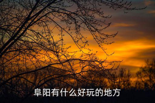阜陽縣,阜陽三區(qū)五縣有何來頭?
