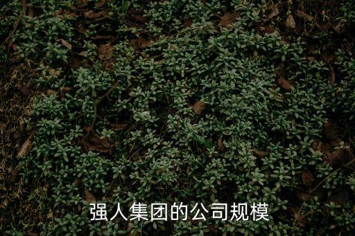 強人集團,中山強人集團有限公司全額投資廣東博文學校