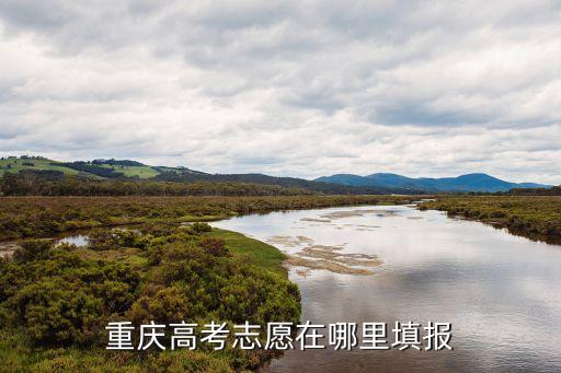 重慶高考志愿在哪里填報