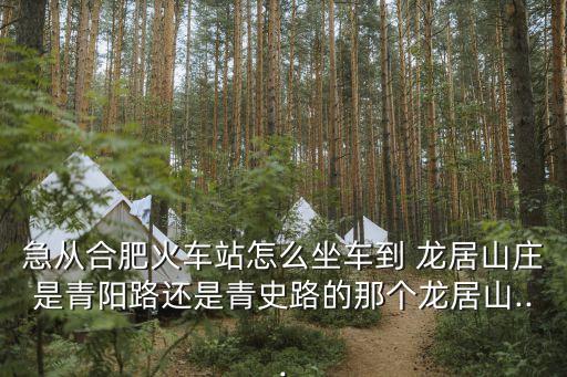 急從合肥火車站怎么坐車到 龍居山莊是青陽路還是青史路的那個龍居山...