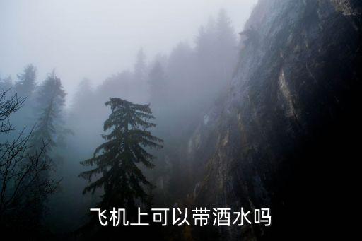 飛機上可以帶酒水嗎