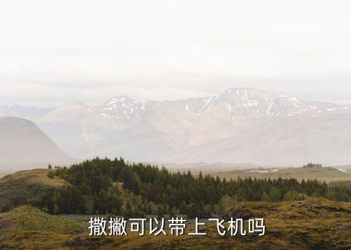 撒撇，戴檸檬撒撇怎么做？