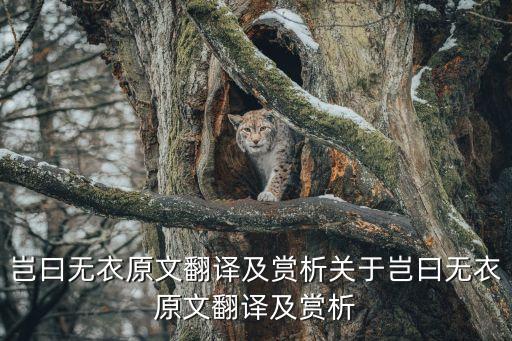 豈曰無衣原文翻譯及賞析關于豈曰無衣原文翻譯及賞析