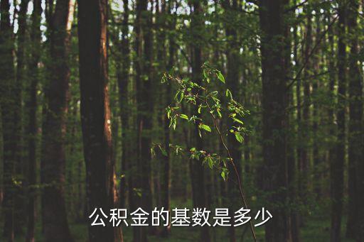 公積金繳納基數,公積金繳存基數?