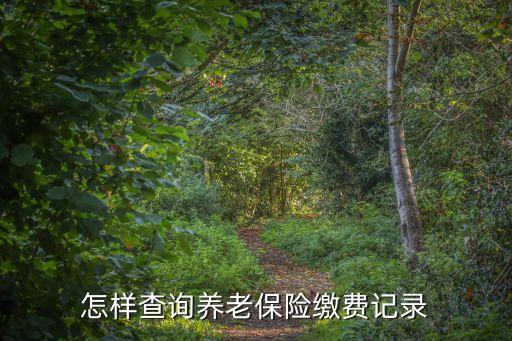個(gè)人養(yǎng)老保險(xiǎn)繳費(fèi)明細(xì),如何查個(gè)人養(yǎng)老保險(xiǎn)繳費(fèi)明細(xì)?