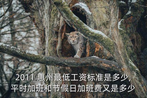惠州最低工資,惠州最低工資標準每小時22元