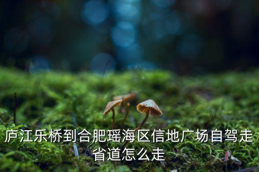 信地城市廣場,一文讀懂中國的未來