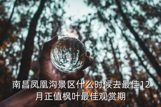  南昌鳳凰溝景區什么時候去最佳12月正值楓葉最佳觀賞期