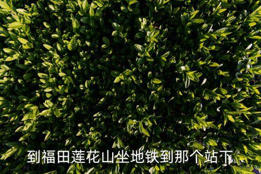 少年宮站,從少年宮站b口出步行360米到達(dá)深圳市中心廣場(chǎng)