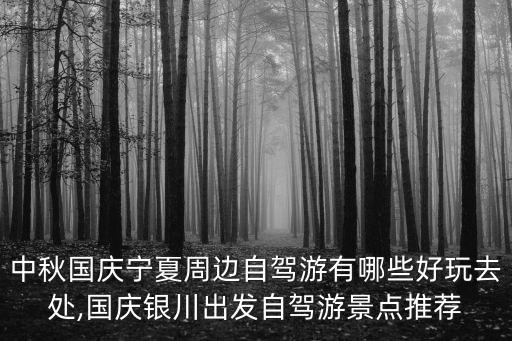 寧夏美術(shù)館,寧夏博物館門(mén)票免費(fèi)開(kāi)放
