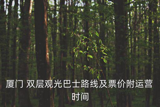 雙層觀光巴士,三亞雙層觀光巴士怎么坐?一日游觀光票!