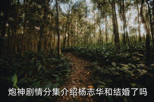  炮神劇情分集介紹楊志華和結婚了嗎