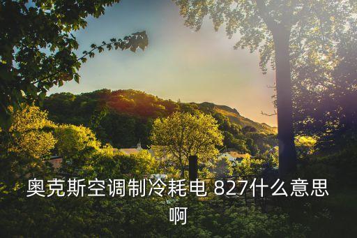奧克斯空調(diào)制冷耗電 827什么意思啊