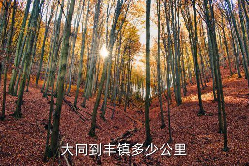 大同到豐鎮多少公里