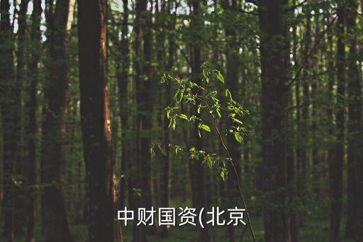中財國資(北京