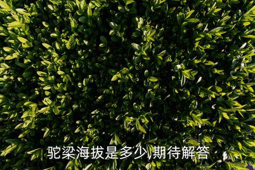 駝梁海拔是多少,期待解答