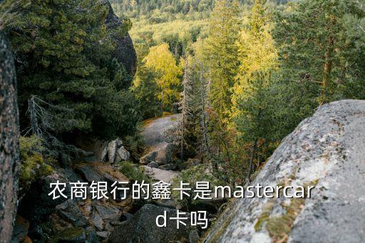 卡鑫社區(qū),上海農(nóng)村商業(yè)銀行首張信用卡取名鑫卡