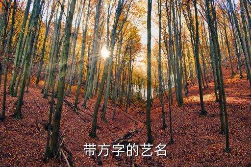 帶方字的藝名