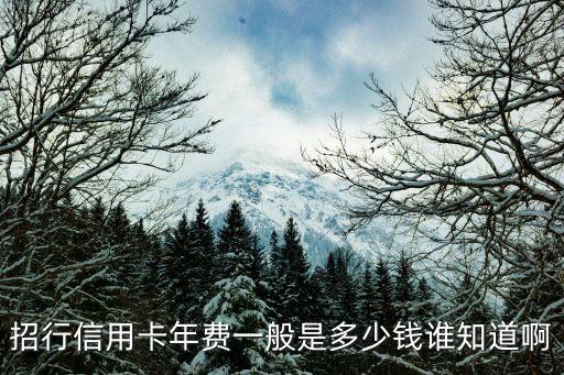 招商銀行信用卡年費,招行信用卡要年費嗎?一般都是免費的