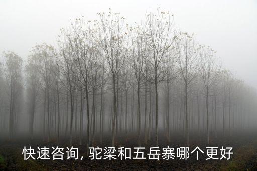 快速咨詢, 駝梁和五岳寨哪個更好