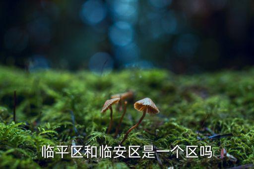 杭州市臨平區,杭州哪個區臨平區屬于杭州市余杭區