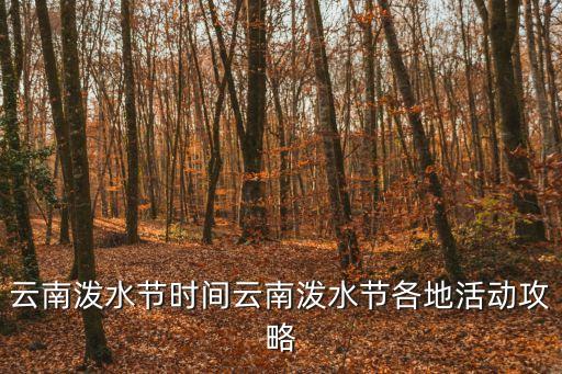 云南潑水節(jié)時間云南潑水節(jié)各地活動攻略