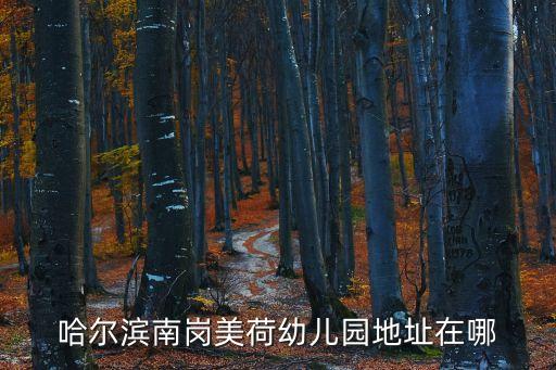 哈爾濱南崗美荷幼兒園地址在哪