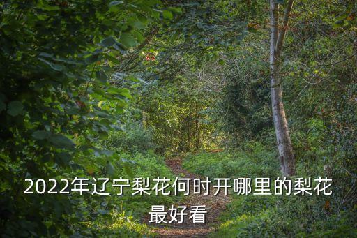 北鎮梨花節,北鎮梨花節:國色天香絕世姿開逢雨得春遲