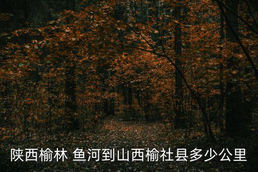 魚河,從魚河撈魚河濕地公園旅游交通攻略