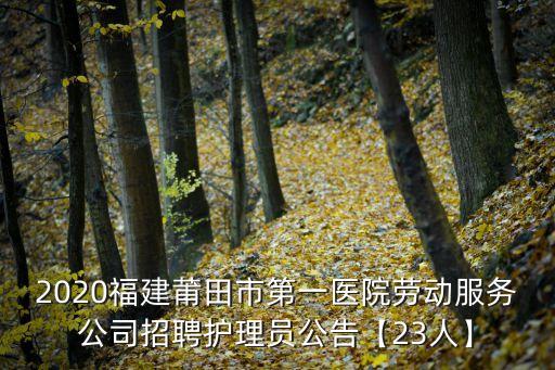 莆田招聘,教師招聘考試報考條件有哪些?