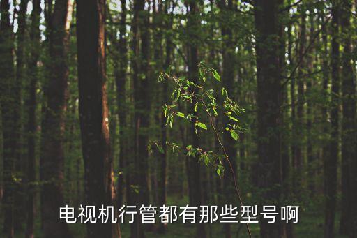 電視機(jī)行管都有那些型號啊