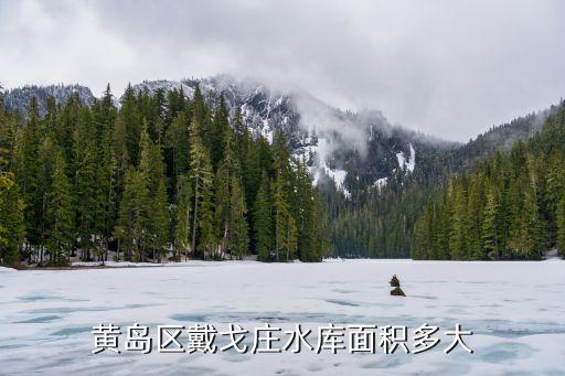 黃島區戴戈莊水庫面積多大