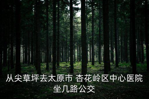 從尖草坪去太原市 杏花嶺區中心醫院坐幾路公交