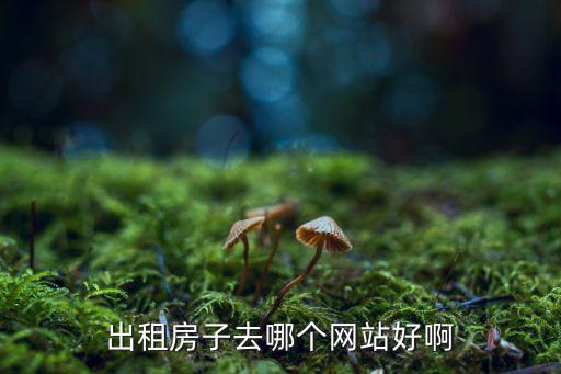本地租房,無房產(chǎn)證而租賃房屋須提供學(xué)生家長證明