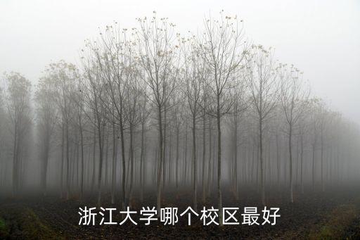 浙江大學(xué)哪個(gè)校區(qū)最好