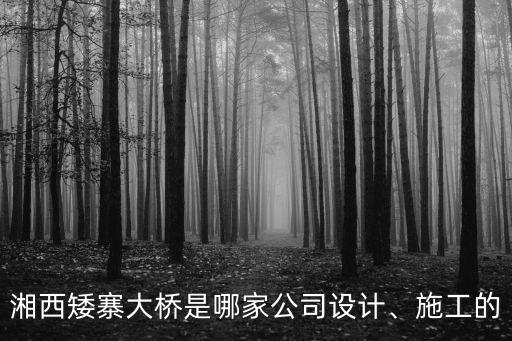 湘西矮寨大橋是哪家公司設計、施工的