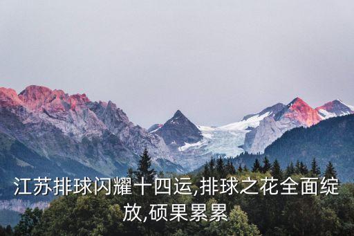 江蘇排球閃耀十四運,排球之花全面綻放,碩果累累