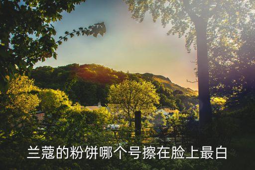 蘭蔻的粉餅哪個號擦在臉上最白