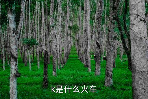 k開頭的是火車嗎,k字開頭的火車是什么車?