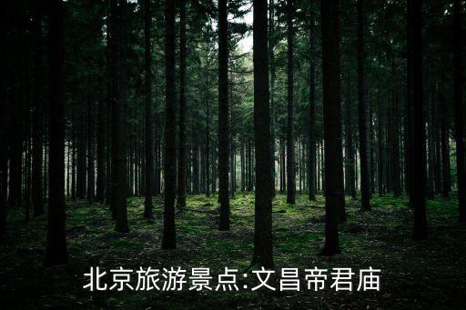 文昌廟,北京旅游景點:文昌帝君廟